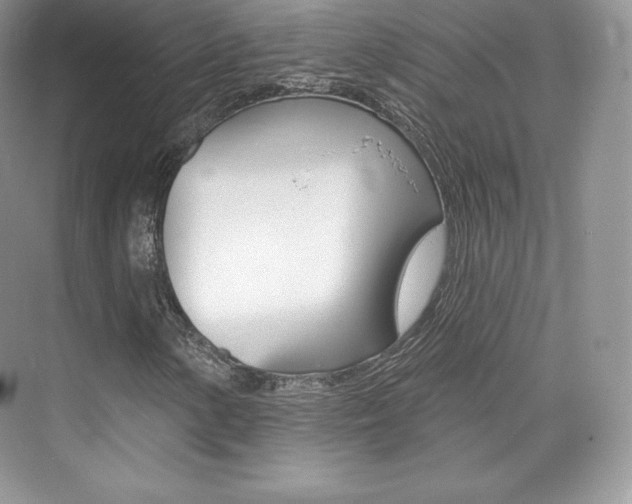 X0000073931154200608111018