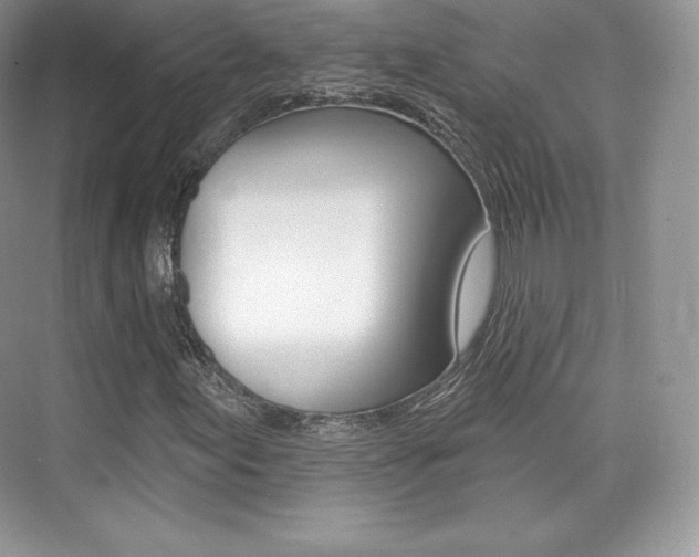 X0000073931155200608111018