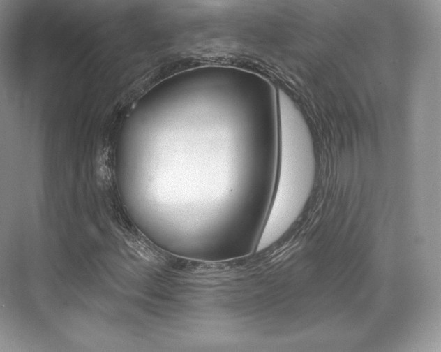 X0000073931156200608111018