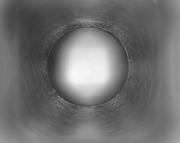 X0000073931157200608111018