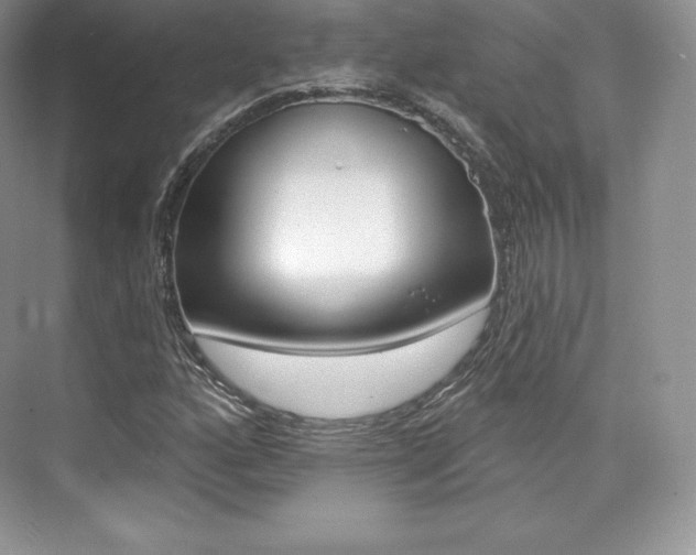 X0000073931160200608111018