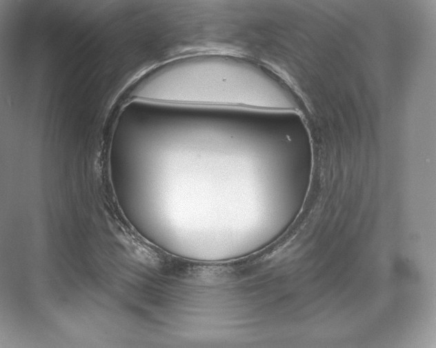 X0000073931163200608111018