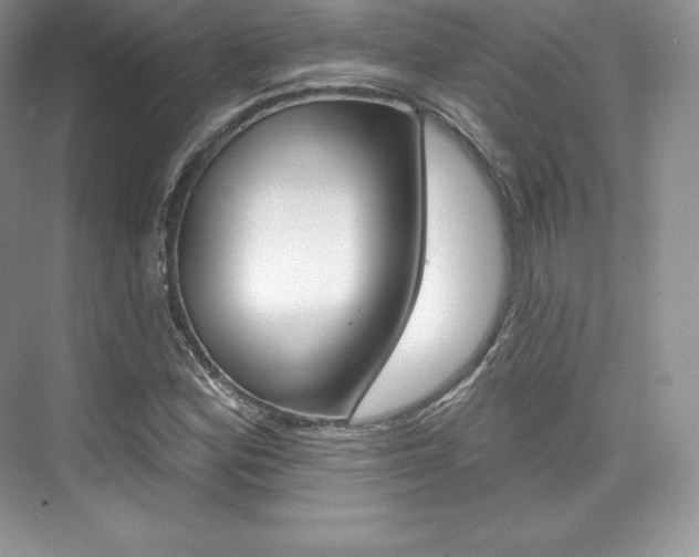 X0000073931164200608111018