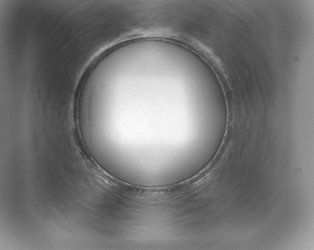 X0000073931174200608111018