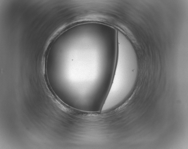 X0000073931180200608111018