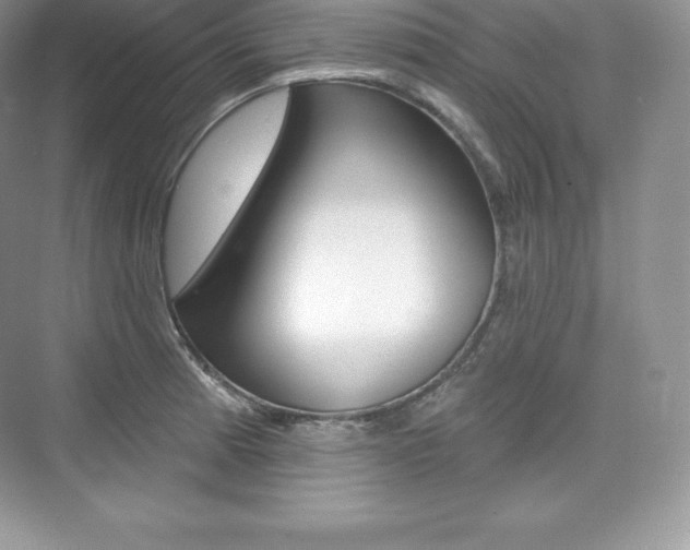 X0000073931185200608111018