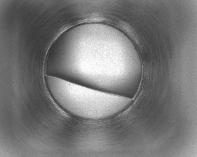 X0000073931186200608111018