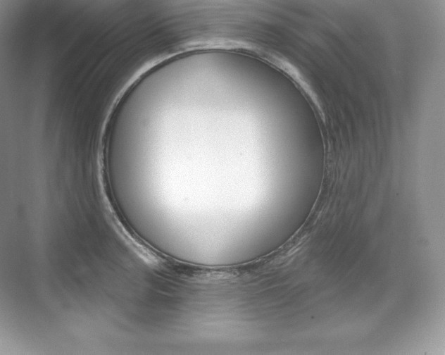 X0000073931187200608111018