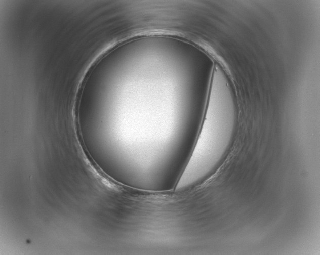 X0000073931189200608111018