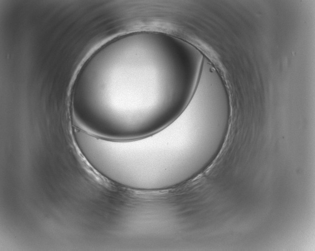 X0000073931200200608111017