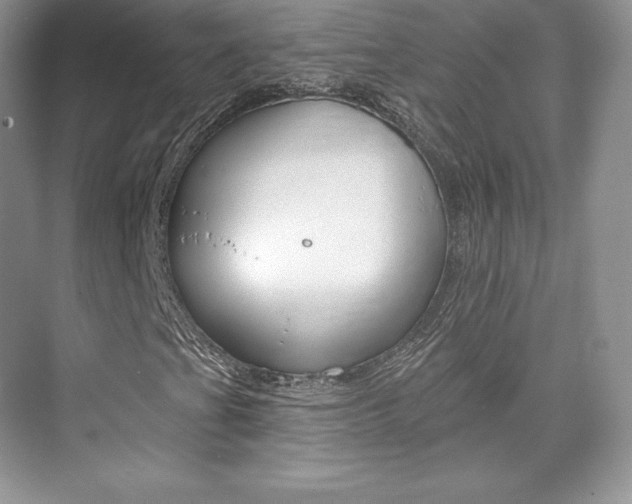 X0000073931201200608111017