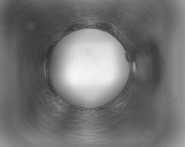 X0000073931203200608111017
