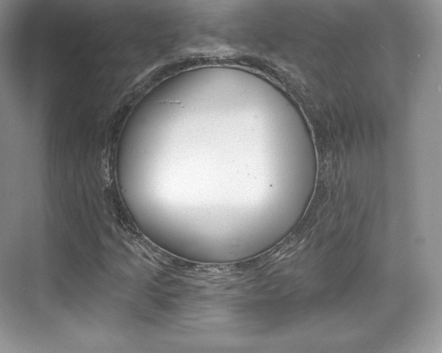 X0000073931205200608111017