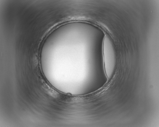 X0000073931212200608111017