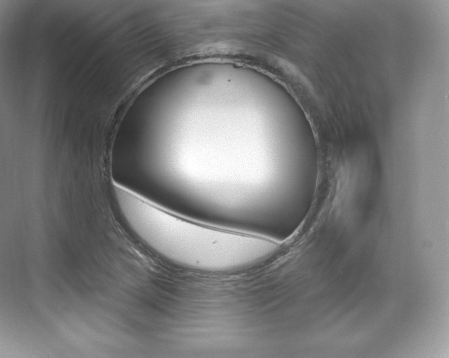 X0000073931217200608111017