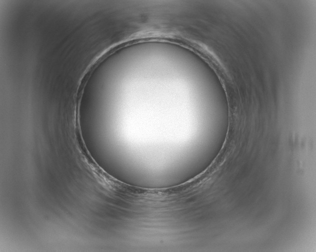 X0000073931220200608111017
