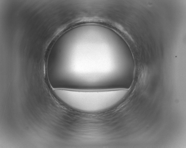 X0000073931221200608111017