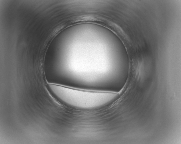 X0000073931225200608111017