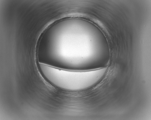 X0000073931229200608111017