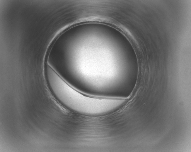 X0000073931230200608111017