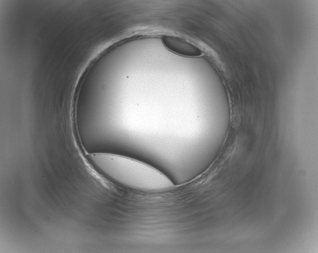 X0000073931231200608111017