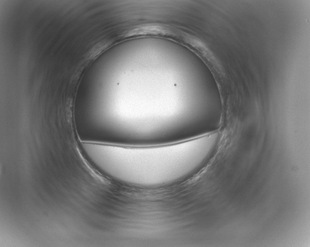 X0000073931233200608111017