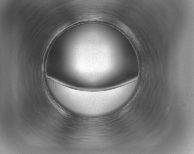 X0000073931234200608111017