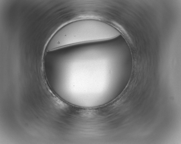 X0000073931236200608111017