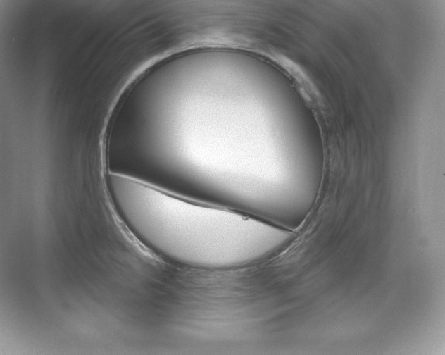 X0000073931238200608111017