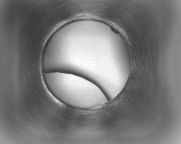 X0000073931239200608111017