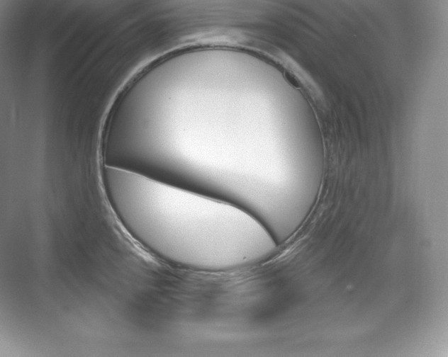 X0000073931240200608111017