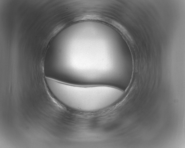 X0000073931241200608111017