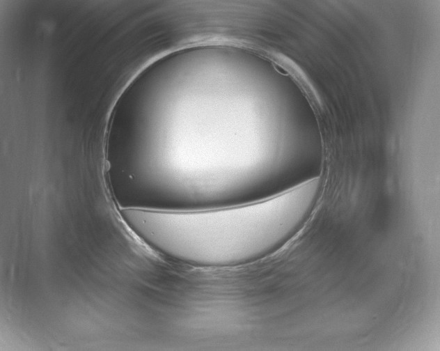 X0000073931244200608111017