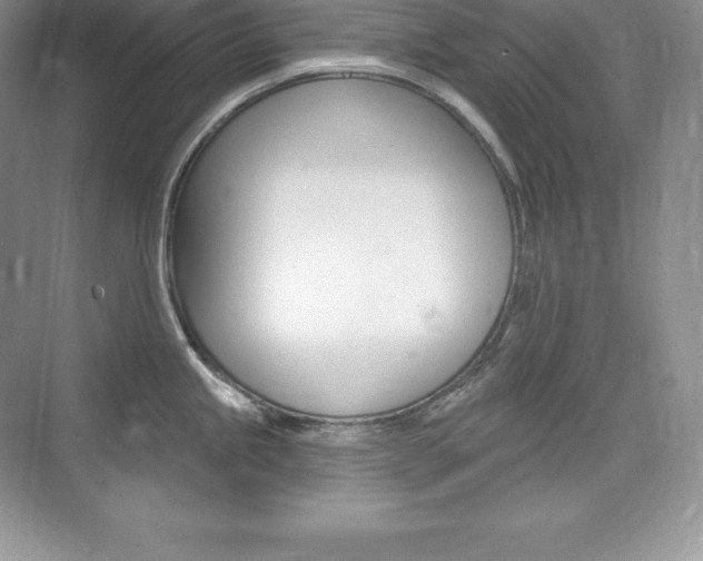 X0000073931245200608111017