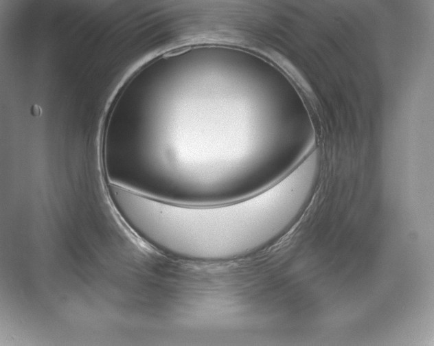 X0000073931246200608111017