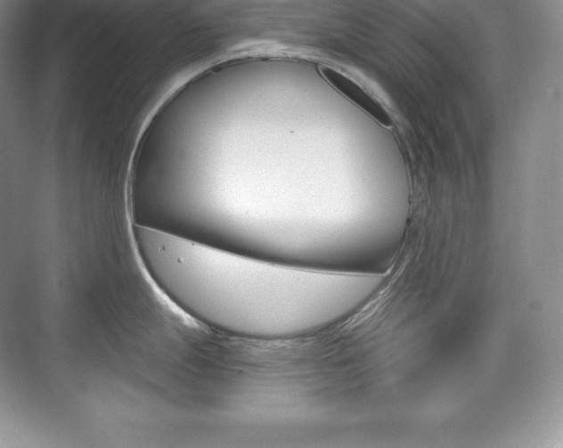 X0000073931247200608111017
