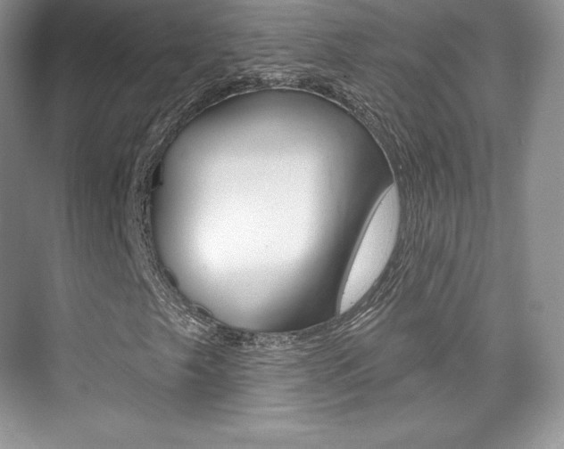 X0000073931249200608111017