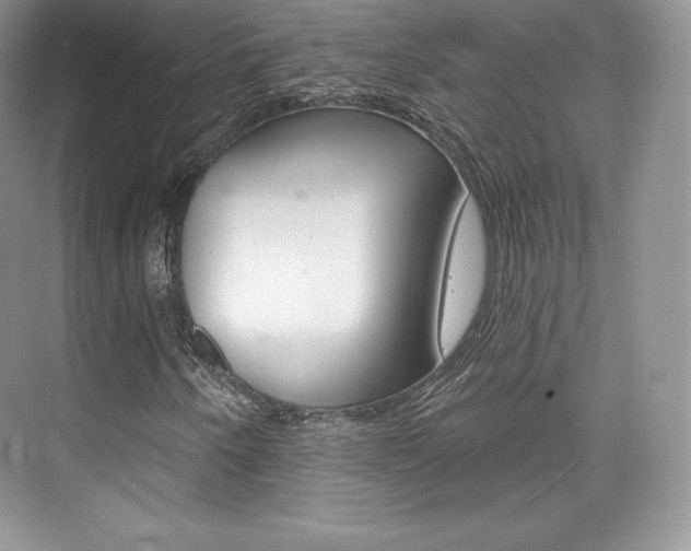 X0000073931250200608111017