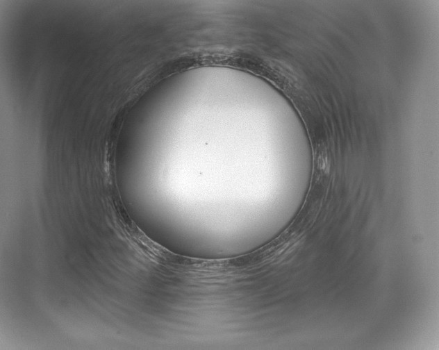 X0000073931252200608111017