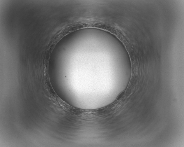 X0000073931253200608111016