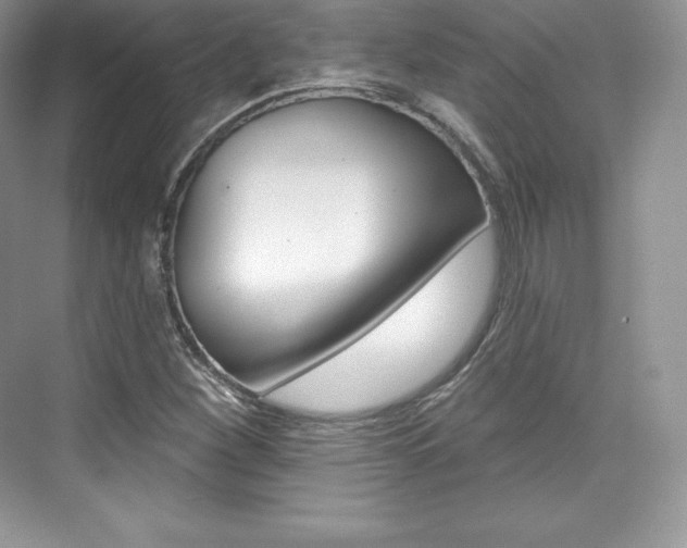 X0000073931260200608111016