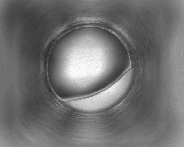 X0000073931261200608111016