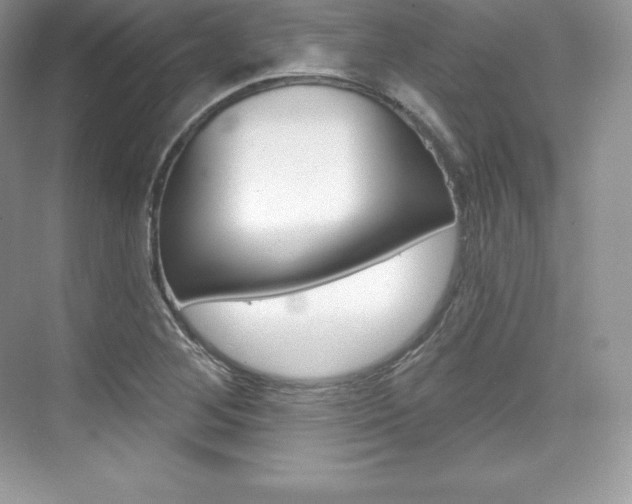 X0000073931268200608111016