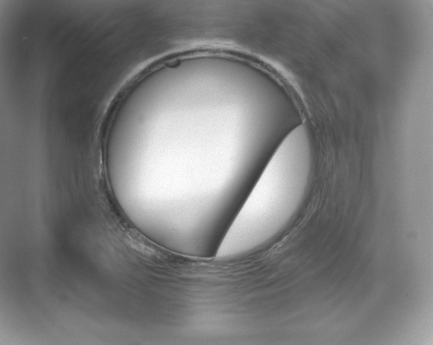 X0000073931271200608111016