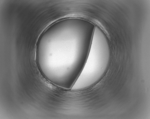 X0000073931276200608111016