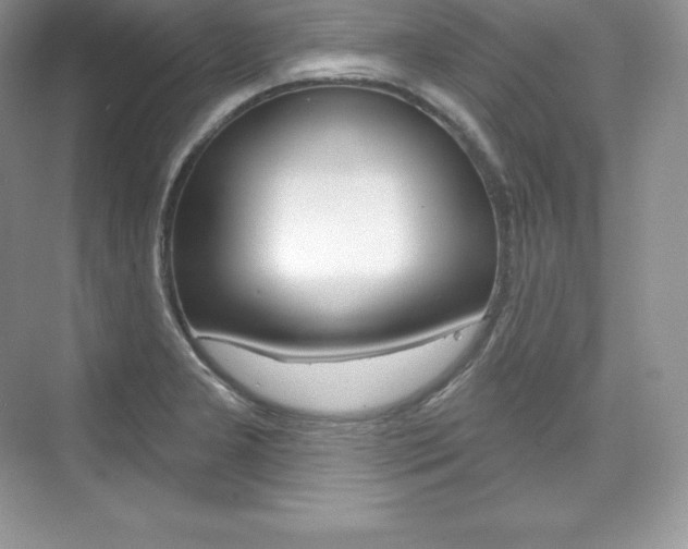 X0000073931277200608111016