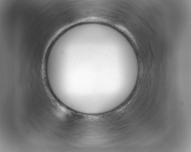 X0000073931278200608111016