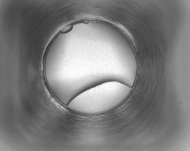 X0000073931287200608111016