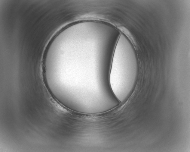 X0000073931288200608111016