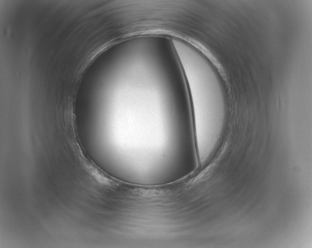 X0000073931289200608111016